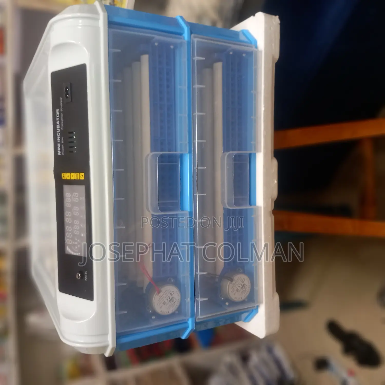 Incubator Eggs 128