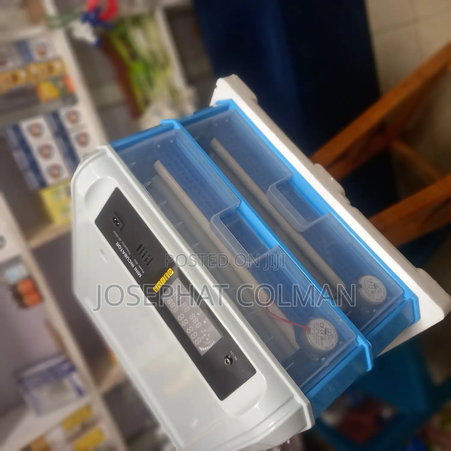 Incubator Eggs 128