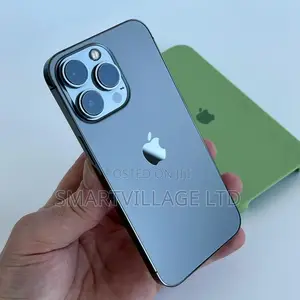 Apple iPhone 12 Pro Max 256 GB Gray