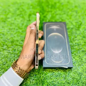 Apple iPhone 12 Pro Max 256 GB Gold