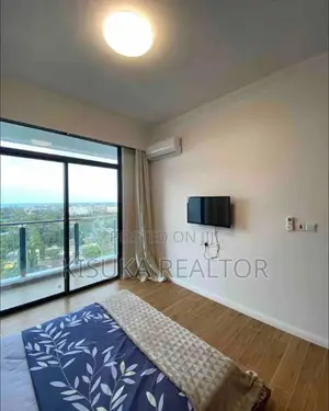Short Stay Apartment 100 Usd Per Night at Mikocheni