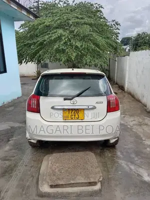 Toyota Allex 2003 White