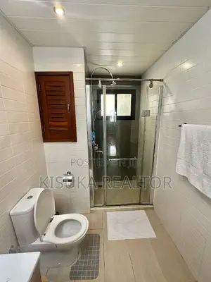 Luxury 3 Bedroom Apartment for Rent 150 Usd Per Night
