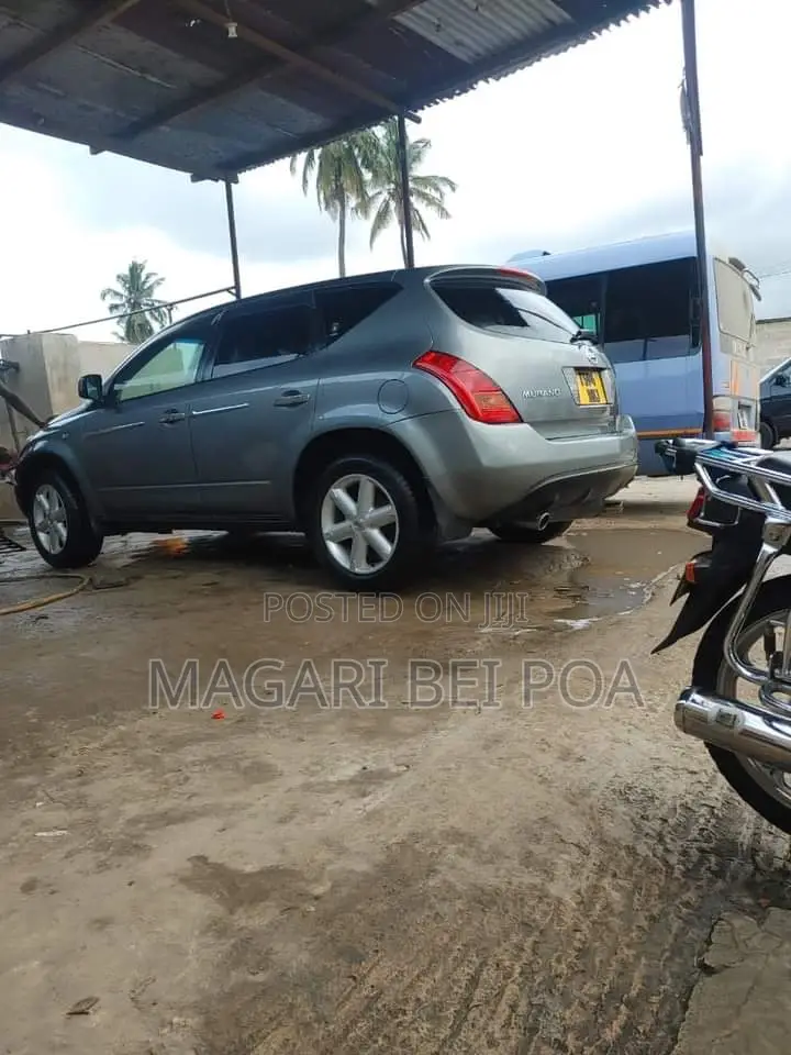 Nissan Murano 2004 Gray