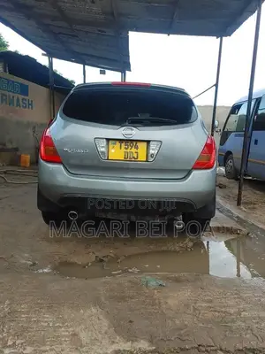 Nissan Murano 2004 Gray