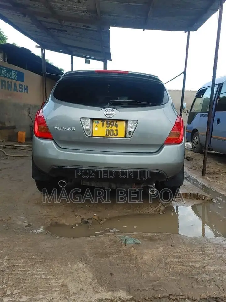 Nissan Murano 2004 Gray