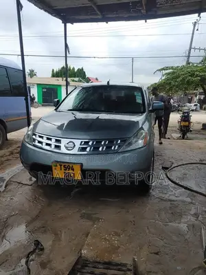 Nissan Murano 2004 Gray