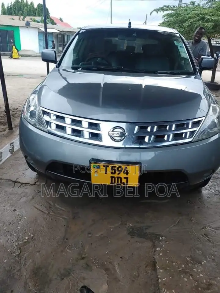 Nissan Murano 2004 Gray