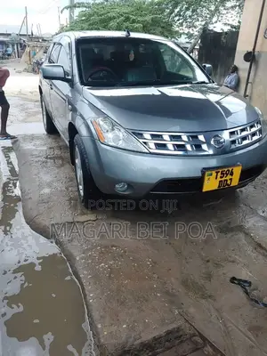 Nissan Murano 2004 Gray