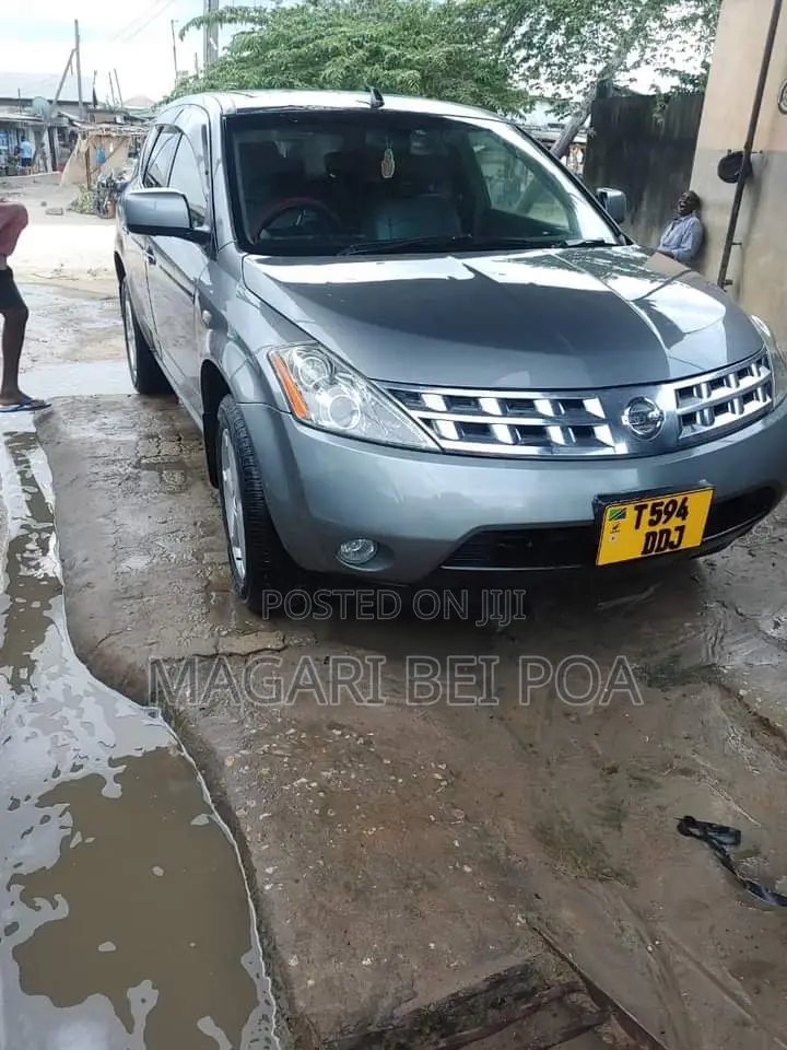 Nissan Murano 2004 Gray