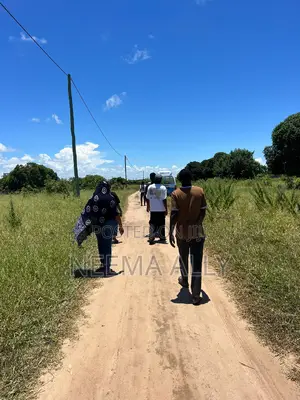 Bei Ya Ofa Kigamboni McHikichini