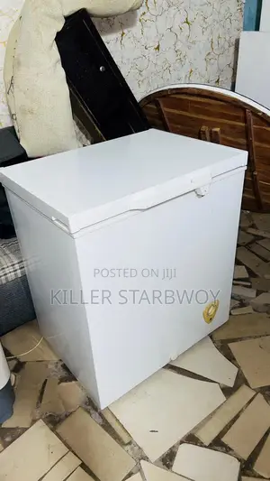 Freezer Lita 170, Kampuni ZEC