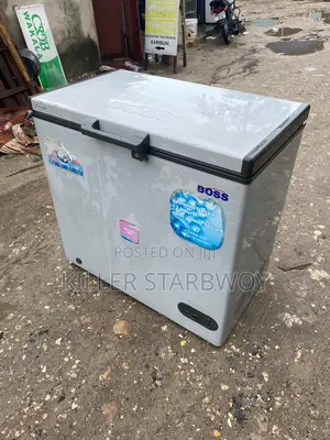 Freeezer Boss Lita 250