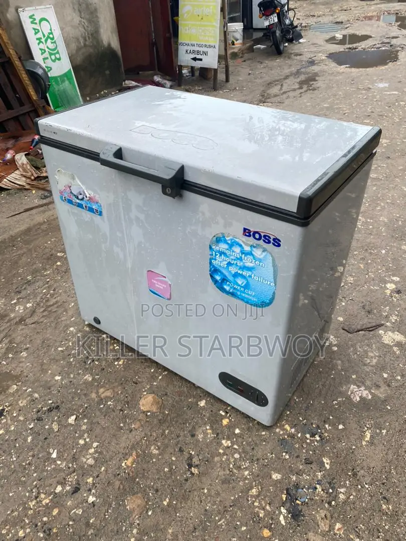 Freeezer Boss Lita 250