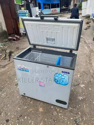 Freeezer Boss Lita 250
