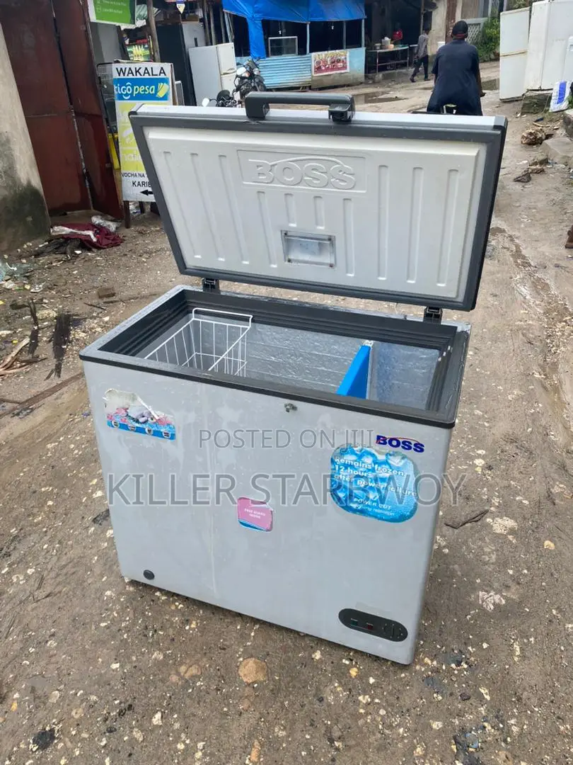 Freeezer Boss Lita 250