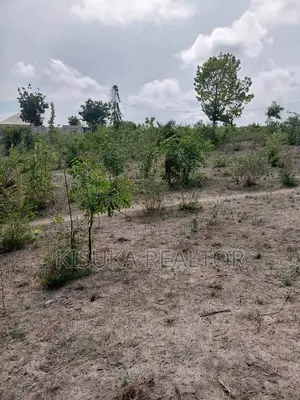 Potential Plot for Sale in Bunju Beach