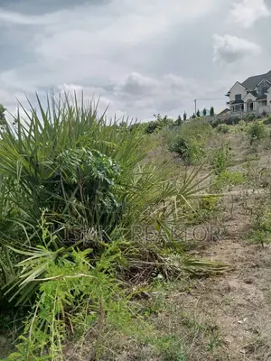 Potential Plot for Sale in Bunju Beach