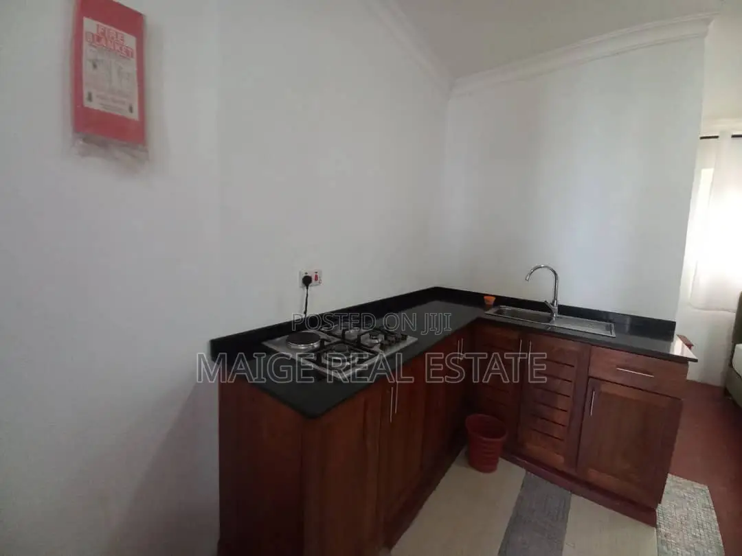 Furnished 1bdrm Apartment in Masaki for rent