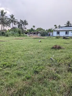 Plot for Sale Survey Mlimani City