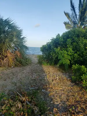 Beach Plot Heka 12 Zinauzwa at Hk 1 Ml 25 Tanga Pangani Sange