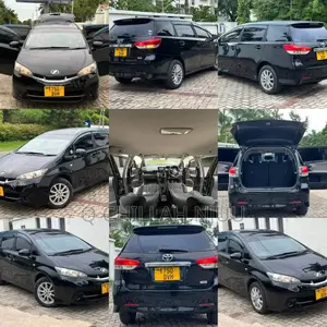 Toyota Wish 2009 Black