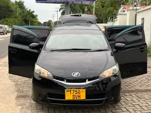 Toyota Wish 2009 Black