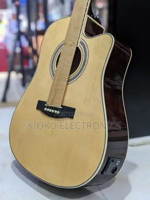 Ibanez Acoustics Guitar