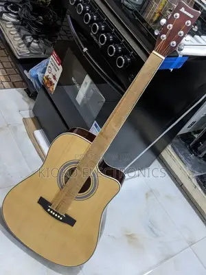 Ibanez Acoustics Guitar