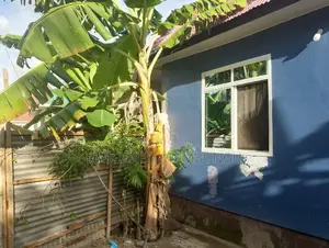 Furnished 4bdrm Apartment in Mwambungu Broker, Mbagala for sale