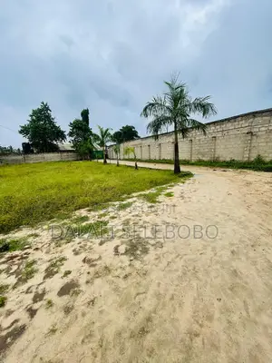 Plot Hecta2 at Mbagala Chamanzi 