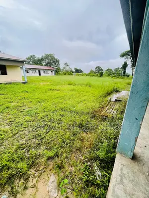 Hecta 9 at Mbagala Chamanzi