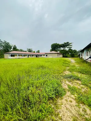 Hecta 9 at Mbagala Chamanzi
