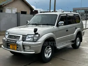 Toyota Land Cruiser 2002 Silver