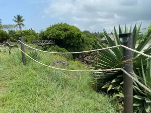 Fencing Poles