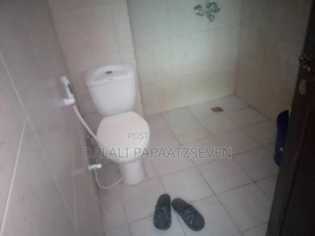 1bdrm Apartment in Dalalipapaatzseven, Kariakoo for rent