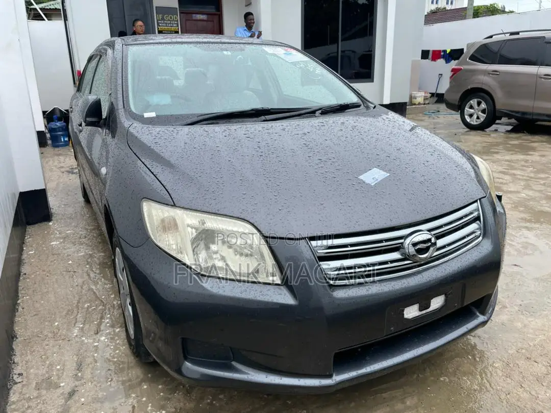 Toyota Axio 1.5 G 2WD 2008 Gray