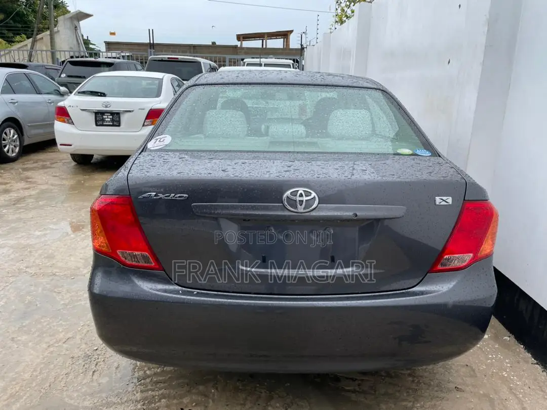 Toyota Axio 1.5 G 2WD 2008 Gray