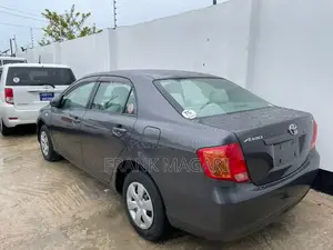 Toyota Axio 1.5 G 2WD 2008 Gray