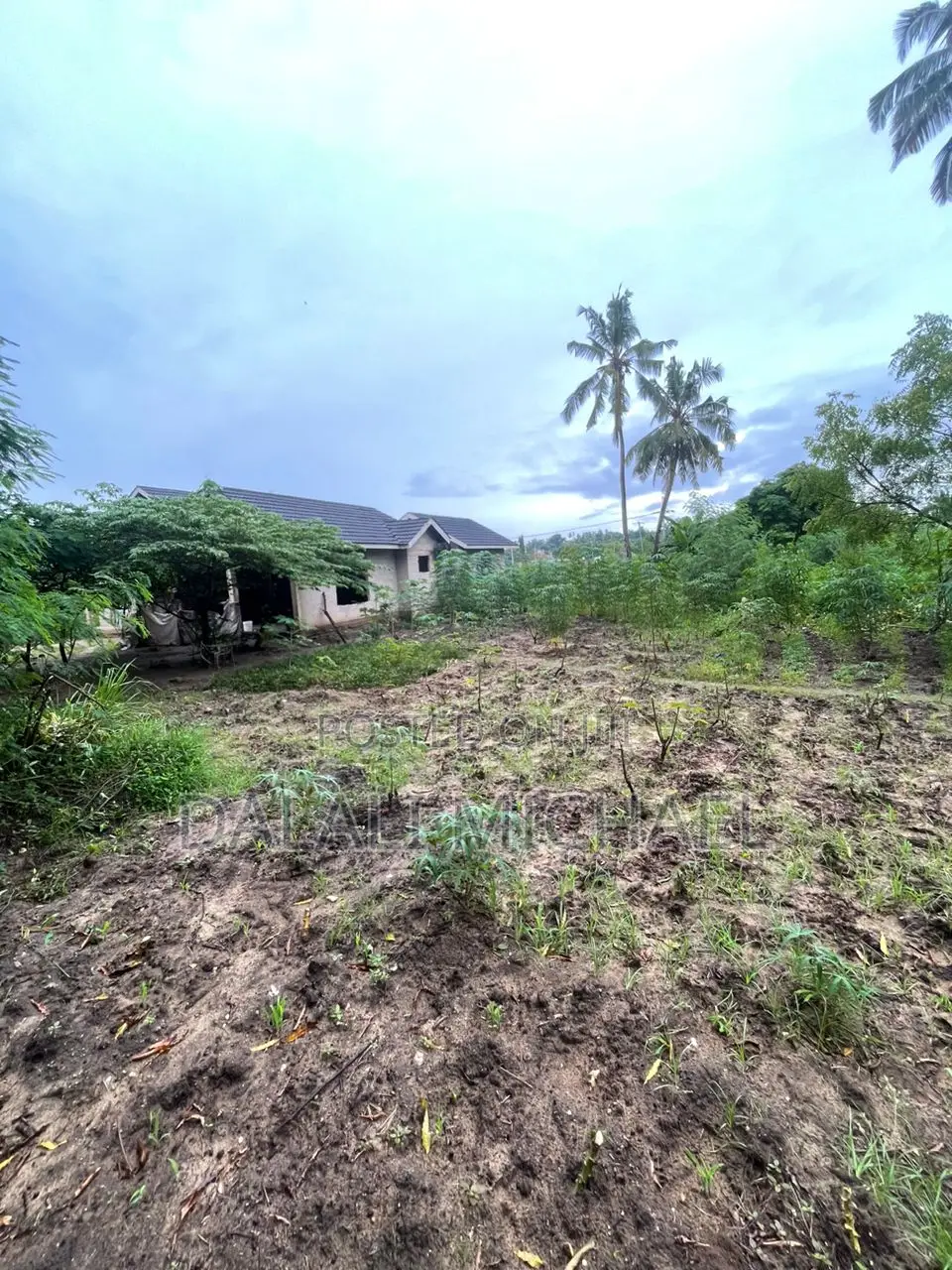 Plot for Sale Salasala Iptl