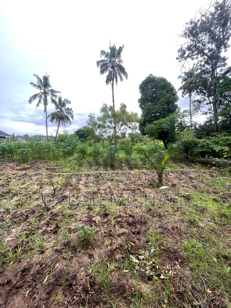Plot for Sale Salasala Iptl