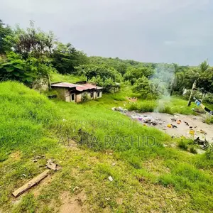 Kiwanja Goba Kina Gusa Lami