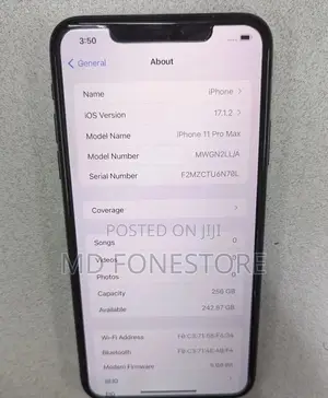 Apple iPhone 11 Pro Max 256 GB Gray