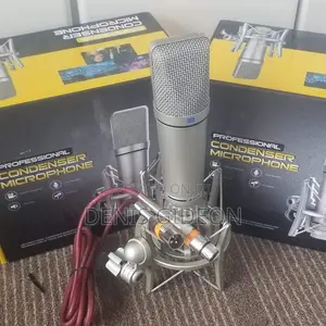 Le Professional Studio Microphone