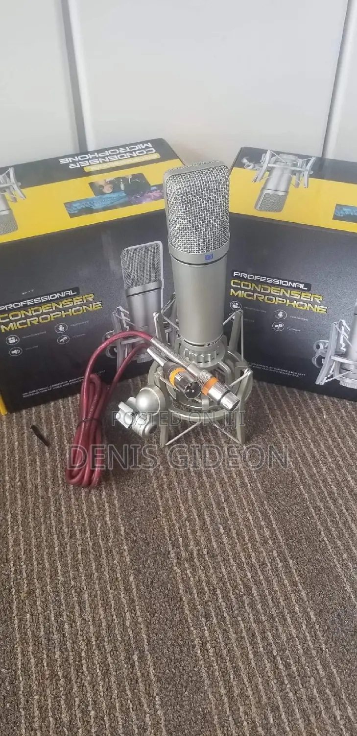 Le Professional Studio Microphone