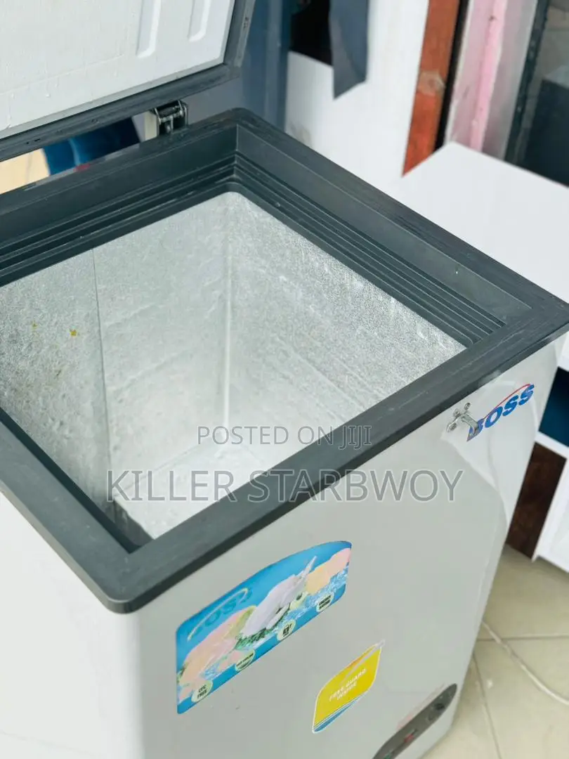 Freezer Lita 100, Boss