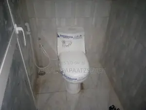 1bdrm Apartment in Dalalipapaatzseven, Kariakoo for rent