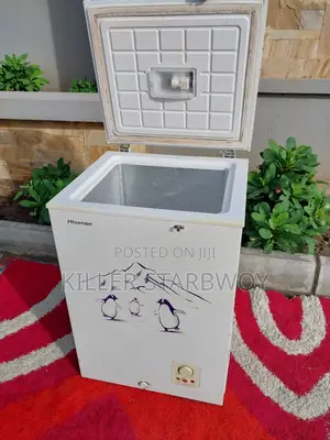 Freezer Lita 100, Hisense