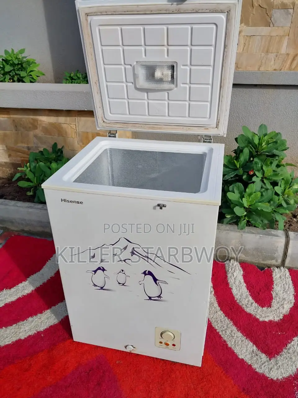 Freezer Lita 100, Hisense