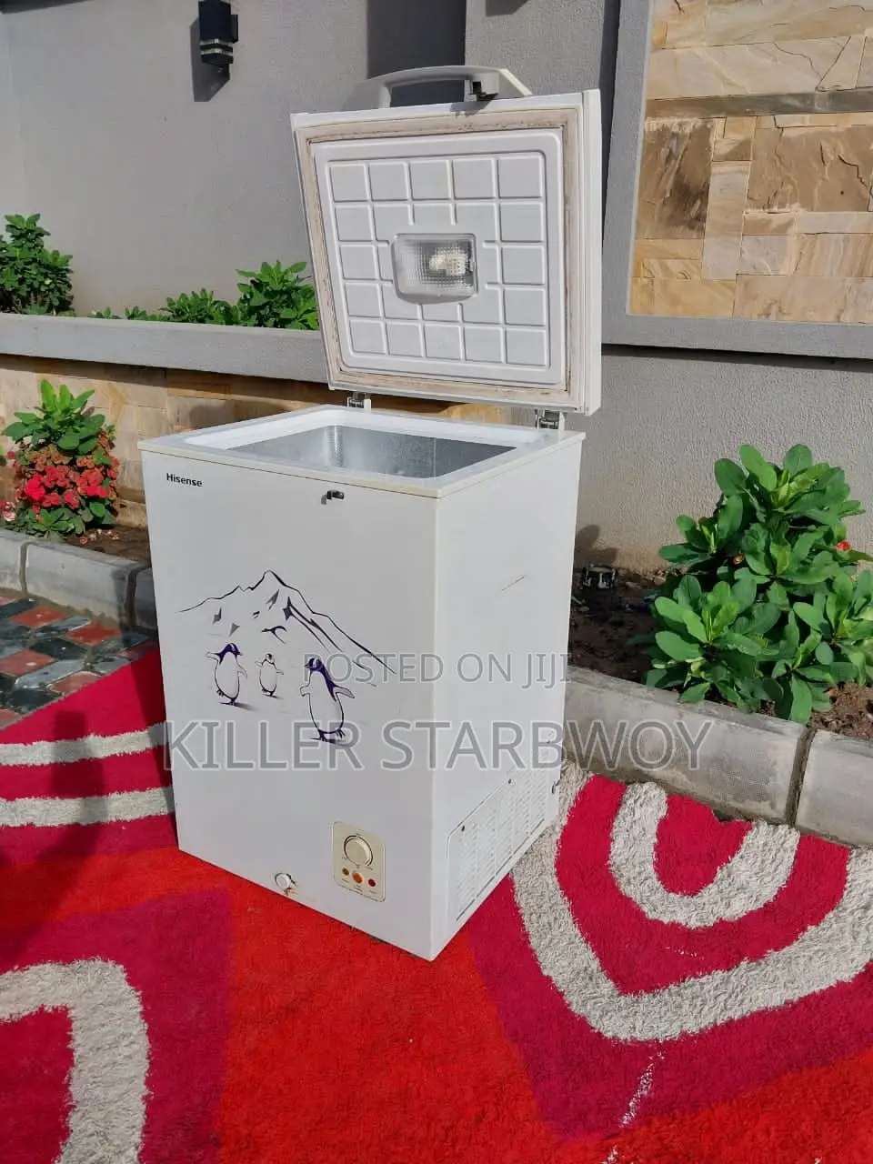 Freezer Lita 100, Hisense